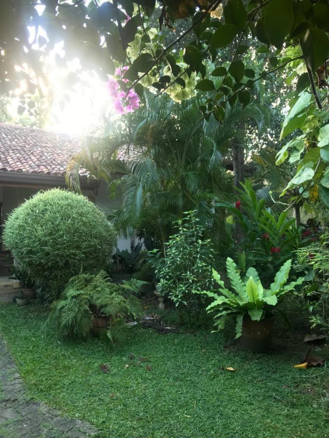 Tangalle Green House Екстер'єр фото