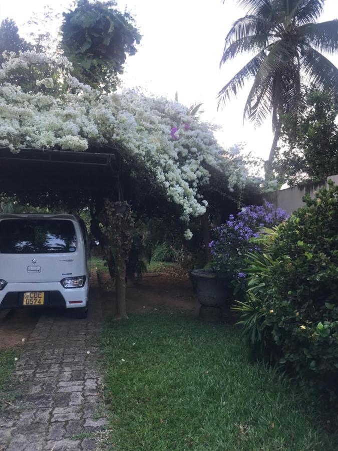Tangalle Green House Екстер'єр фото