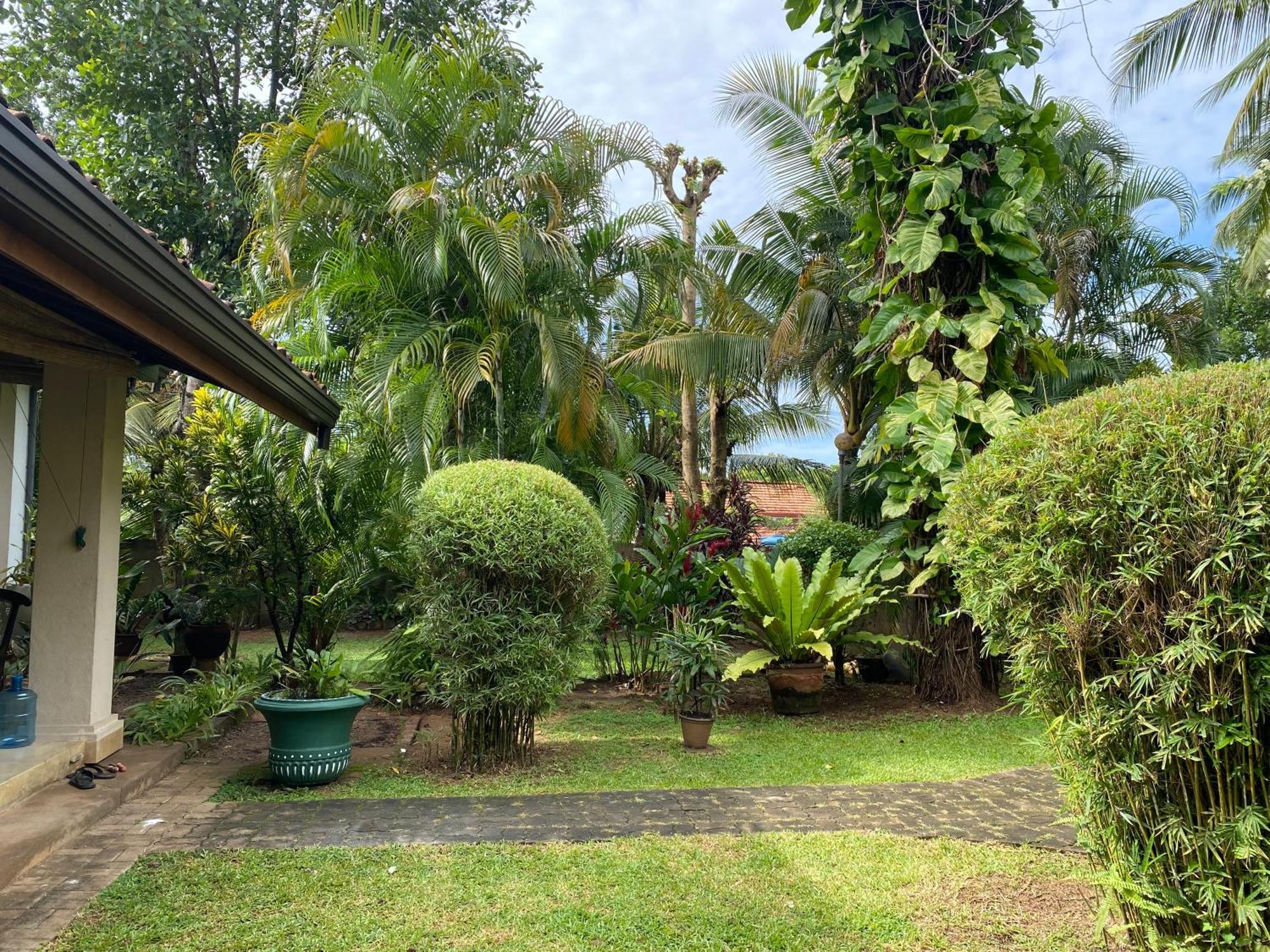 Tangalle Green House Екстер'єр фото