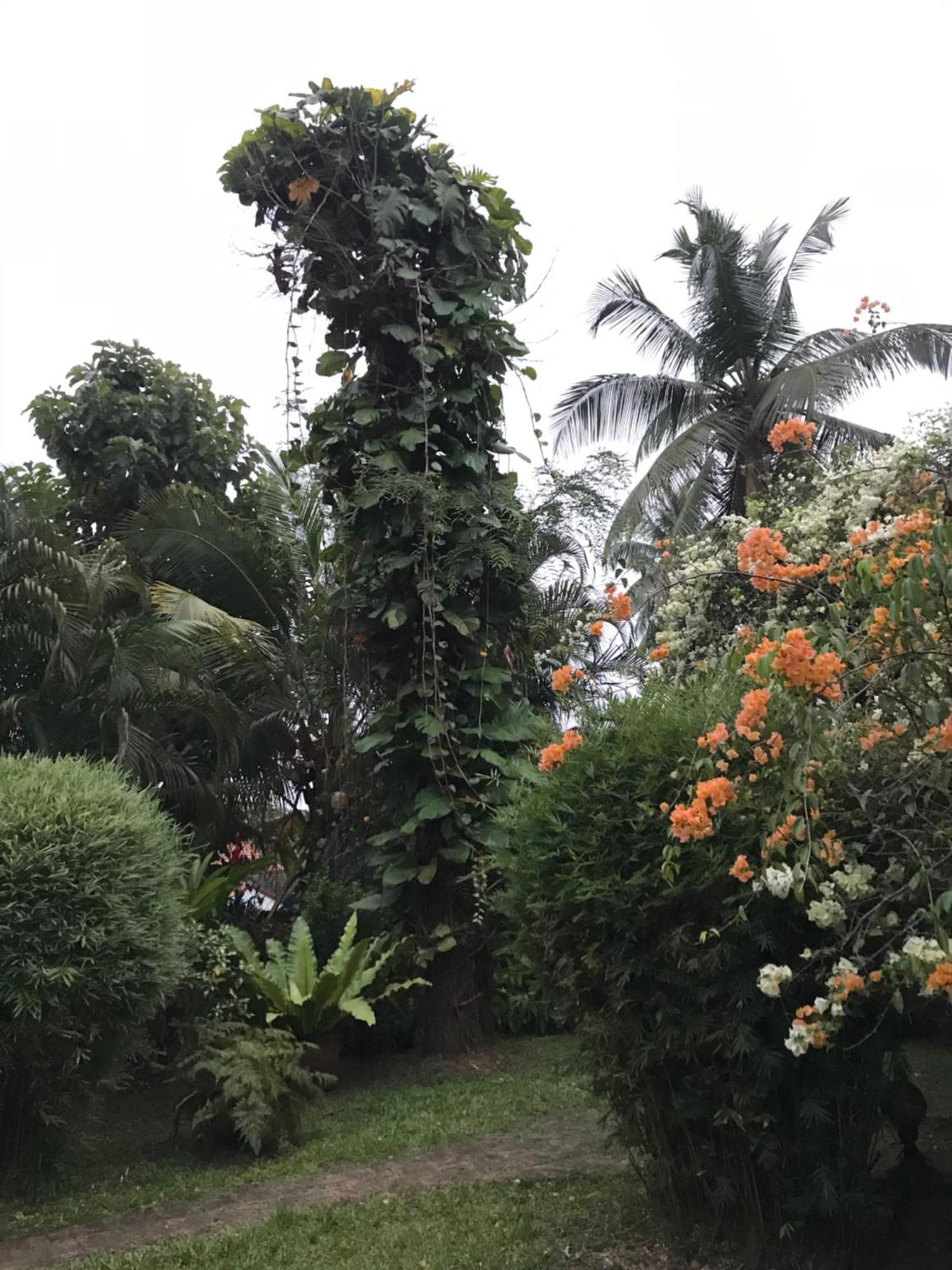 Tangalle Green House Екстер'єр фото